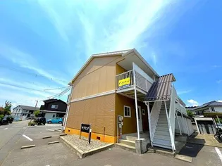 サプリングの画像