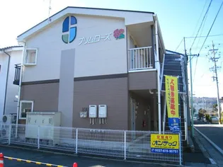 プリムローズの画像