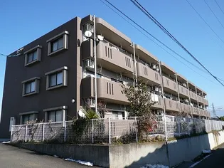 カメリアガーデンの画像