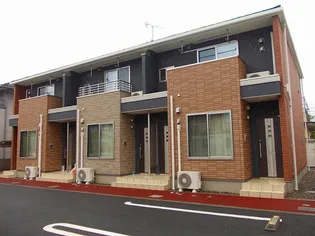 サンボルの画像