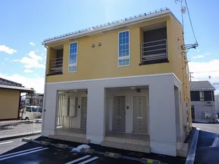 グレイス アイビーBの画像