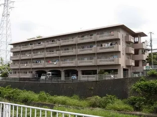 静岡県三島市壱町田【マンション】の外観