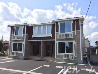 アモーレの画像