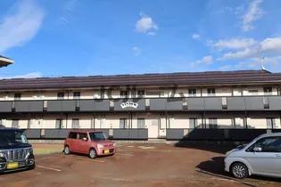 ビビッドKの画像