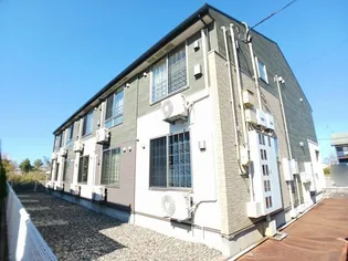 チェリー ブロッサムの画像