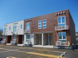 シーダー フォレストの画像