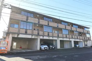 プルメリアの画像