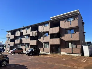 アイビスの画像