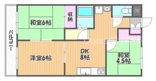 サクシード今【302号室】の間取り
