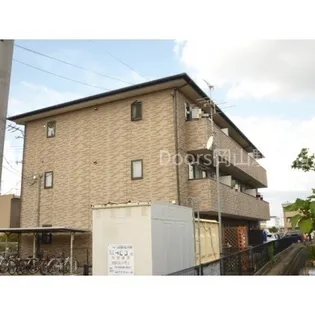 サンフラワーBの画像