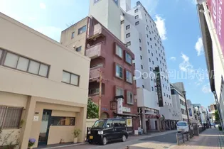 岡山県岡山市北区幸町【マンション】の外観