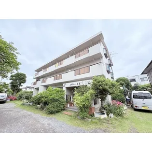 エスティー土屋の画像