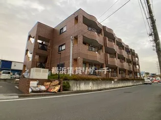 グリーンヒルズの画像