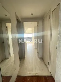 プレジオ関目 【15階】の玄関