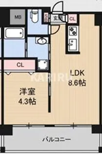 アニマーレ長堀【8階】の間取り