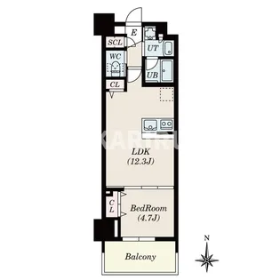 Dimus北浜【13階】の間取り