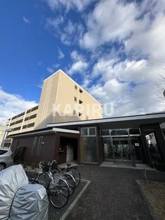 グレイスパルコート【2階】の外観