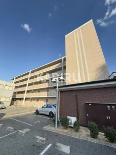 グレイスパルコート【4階】の外観