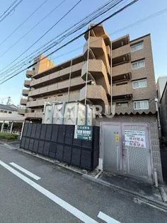 ノースフライトの画像