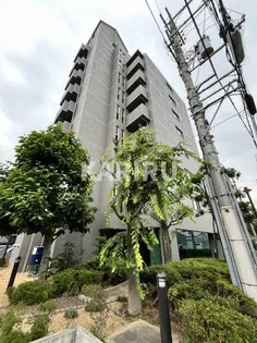 サンオークタツミの画像