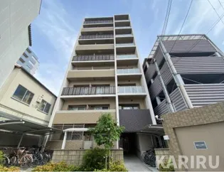 パインリッチの画像