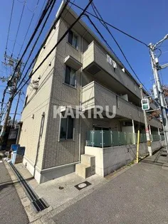 ハナミズキの画像