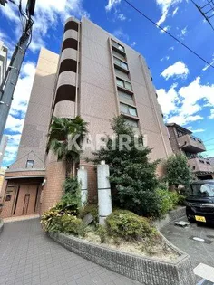 アイズワンⅡの画像