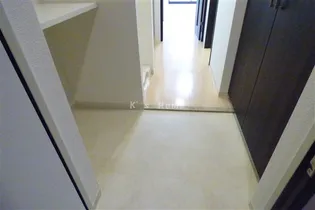 エステムプラザ神戸三宮ルクシア【11階】の玄関