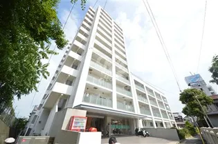 フェニックスK2の画像