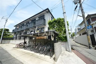 シリウスポッラの画像