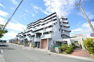 ハイムアゼーリア【706号室】の外観