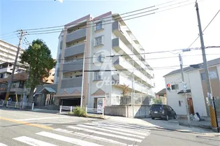 マックコートの画像