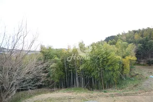 ウィット垂水【202号室】のその他画像