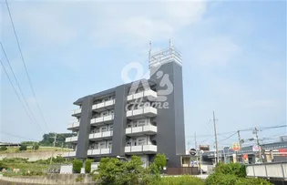 グリーンハイツ松本【5階】の外観