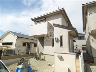 コリーヌの画像