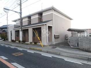 セレッソ八木の画像