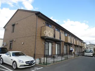 セントラルグレイスの画像