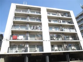 ソフィア朝霧の画像