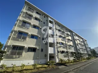 名谷6団地31号棟の画像