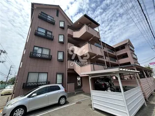 サンフラワー貴崎【503号室】の外観