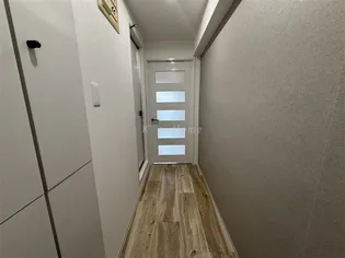 ニューブ神戸【7階】の玄関