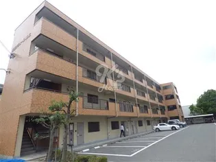 グランフォーレ池上【203号室】の外観