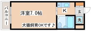 トレビアンコート【C205号室】の間取り