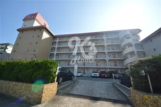 ルネ舞子の画像