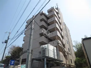 ヴィップハイツ【3階】の外観