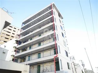 ステラ21の画像