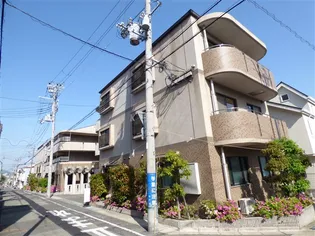 エリム摩耶の画像