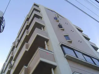 ヌーベルフルーブの画像