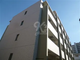 ハウオリ ハレの画像