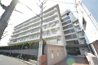 ユニ舞子の画像